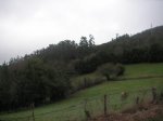 PICT0042.jpg