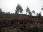 PICT0046.jpg