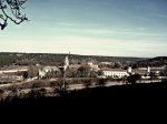 P1210015.jpg