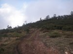 PICT0066.jpg