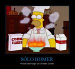CR_187423_solo_homer.jpg