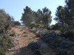 sierra espu&#241;a ruton enero  2012 (23).jpg