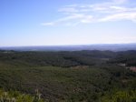 P1016870.JPG