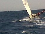 34205_1463001327850_1017967913_1355931_4211705_n.jpg