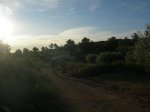 A6.JPG