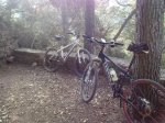 220120124116_1024x768.jpg
