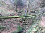 020120102036.jpg