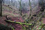 DSC_0169.JPG