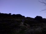 IMG-20120122-00998.jpg