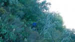 DSCN2229.jpg
