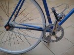 DSC00480.jpg