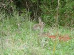 DSC05188.JPG