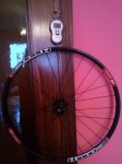 2012-01-22 12.57.00.jpg