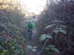 20102008_048.jpg