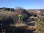 20102008_079.jpg