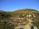 IMG-20120122-02101.jpg
