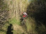 IMG_0820.JPG