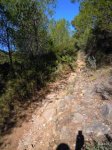 DSCN1206.JPG