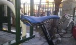 IMAG0045.jpg