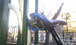 IMAG0044.jpg