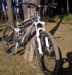 IMG-20111208-00235 (800x600).jpg