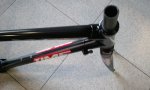 2012-01-23 11.44.15.jpg