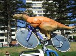 tdu.jpg