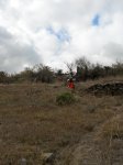 DSCN2540.jpg