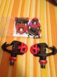 IMG-20111220-WA0001.jpg