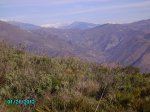 PICT0047.JPG