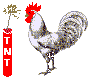 Gallo05.gif