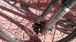 IMG-20120124-WA0001.jpg