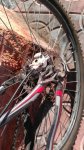 IMG-20120124-WA0003.jpg