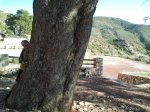 2012-01-22 10.33.52.jpg