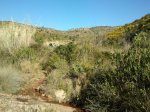 2012-01-22 11.27.09.jpg