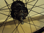DSC00679.gif