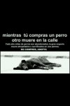 ImageUploadedByTapatalk1327486685.061275.jpg