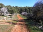 Trek12 Gilena 1.jpg