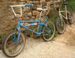 bh california y torrot.jpg