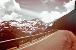 10_gavia.jpg