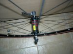 DSCN4555.JPG