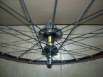 DSCN4559.JPG