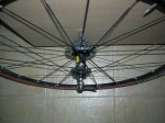 DSCN4560.JPG