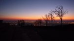 redP1080259.jpg