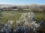 DSCN0918.jpg