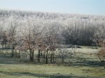 DSCN0919.jpg