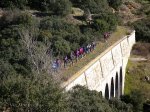 070210_foromtb02.jpg
