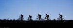 070210_foromtb16.jpg
