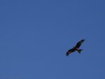070210_foromtb19.jpg