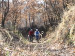 IMG_0732.JPG